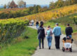 Wanderung in den fränkischen Weinbergen