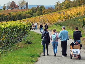 Wanderung in den fränkischen Weinbergen