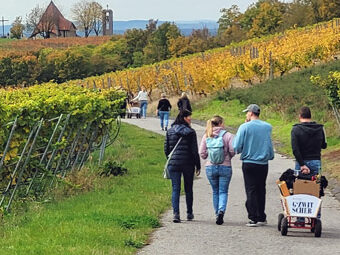 Wanderung in den fränkischen Weinbergen