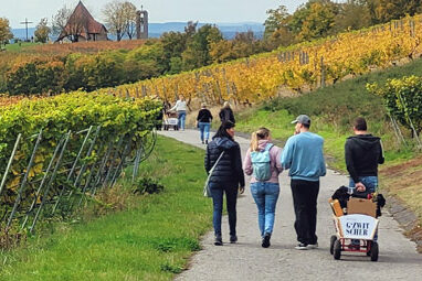 Wanderung in den fränkischen Weinbergen