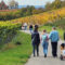 Wanderung in den fränkischen Weinbergen