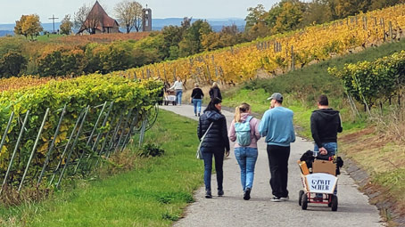 Wanderung in den fränkischen Weinbergen