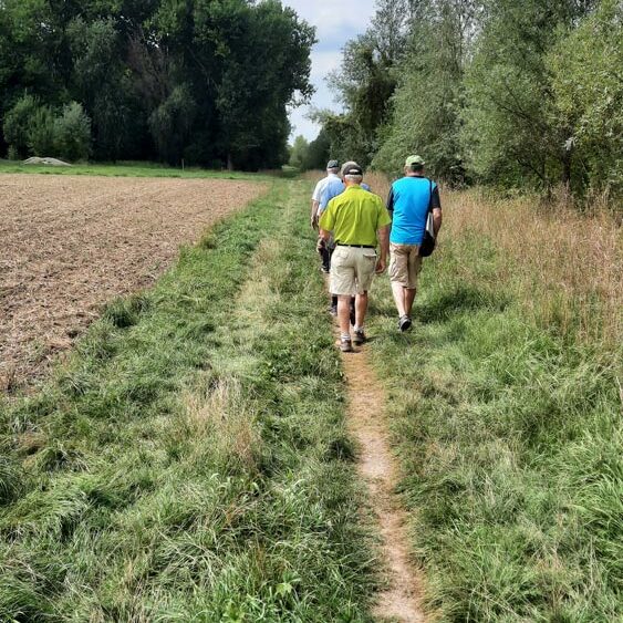 an der Autobahn entlang