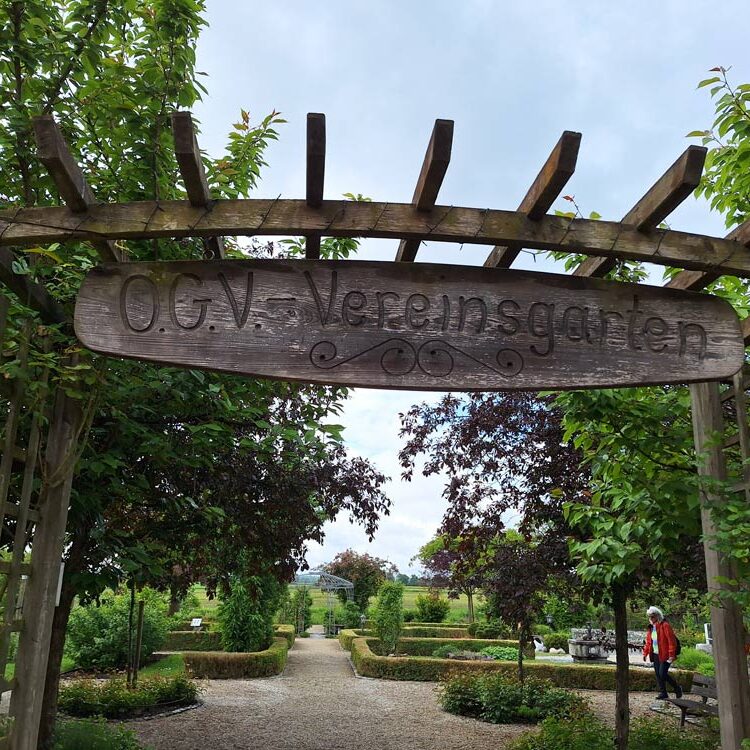 im Garten des Gartenbauvereins