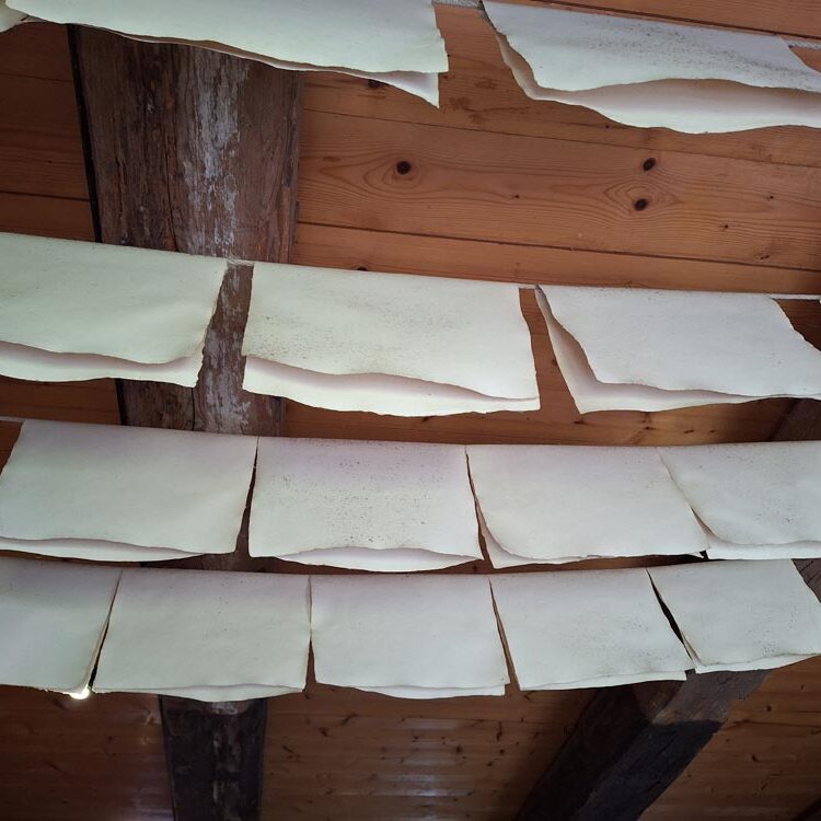 Papiermühle