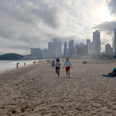 Tischtennis-Senioren-Weltmeisterschaft 2026 in Gangneung