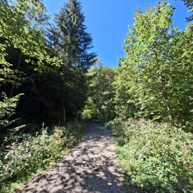 Bogenschießen im Hölltal